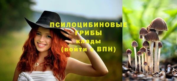 прущие грибы Баксан