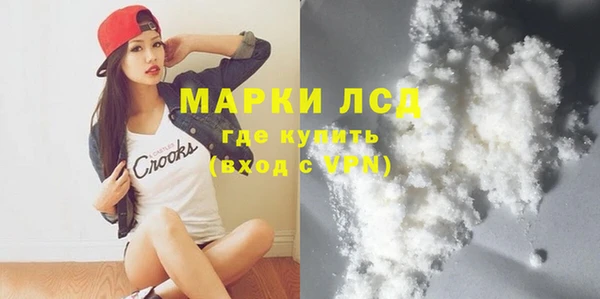 прущие грибы Баксан