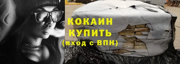 spice Гусев