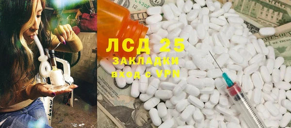 прущие грибы Баксан