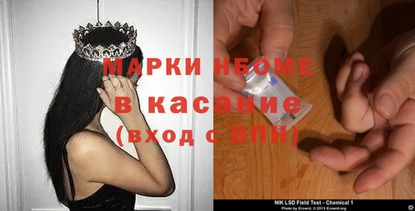прущие грибы Баксан