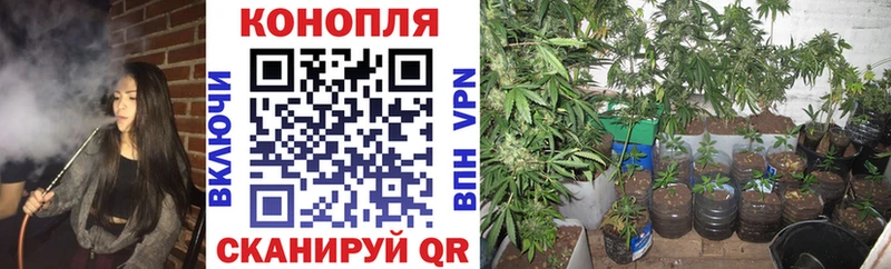 Шишки марихуана план hydra ONION Лермонтов